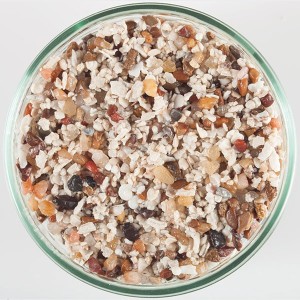 Carib Sea African Cichlid Mix Ivory Coast 20lb
