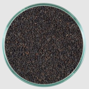 Carib Sea Super Natural Sand Midnight River 5lb